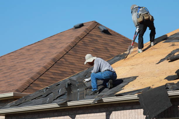 Best Siding  in Telford, TN