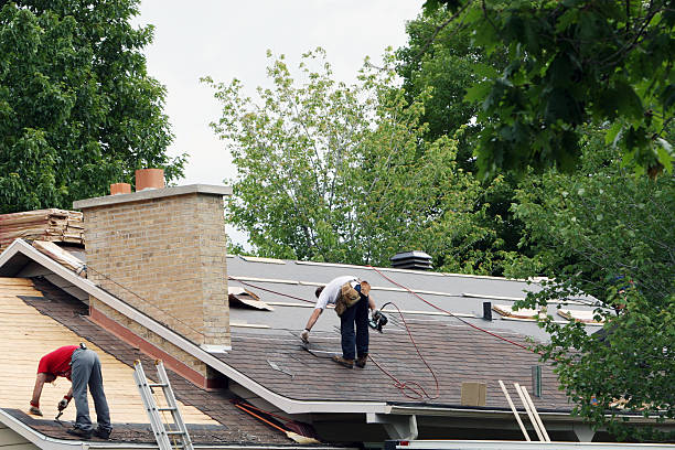 Best Storm Damage Roof Repair  in Telford, TN