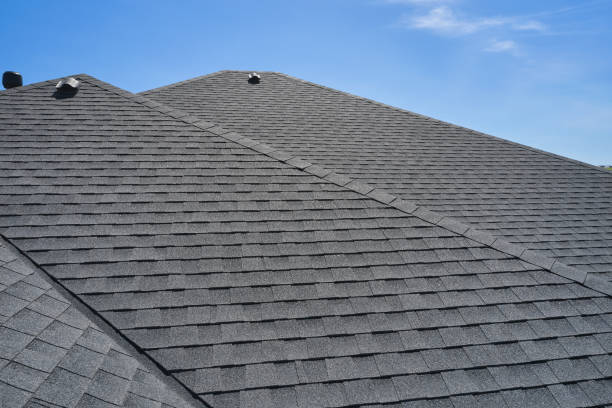 Best Roof Moss and Algae Removal  in Telford, TN